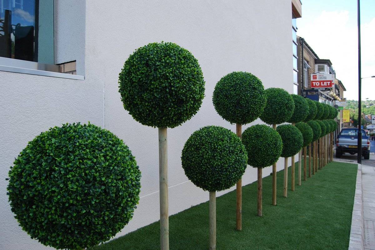 Искусство топиари – декоративная стрижка растений