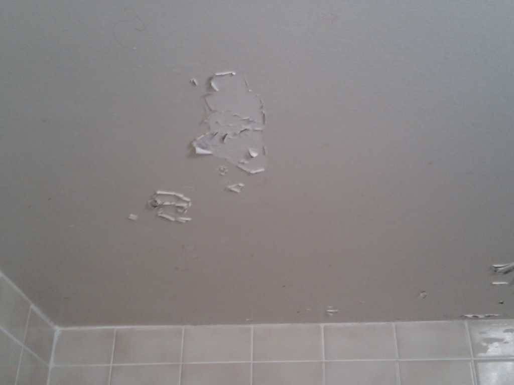 Отделка потолка в ванной комнате: краска и побелка