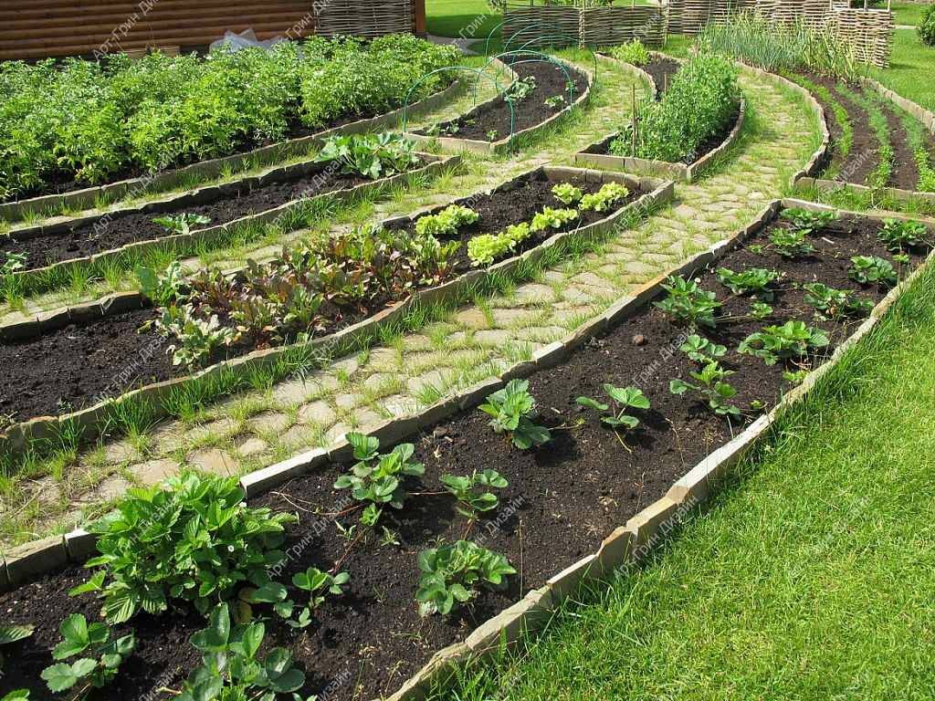 Дизайн огорода и сада придумываем, проектируем и воплощаем в жизнь.фото декоративных огородов.