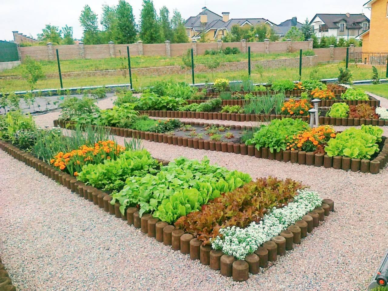 Декоративный огород как элемент ландшафтного дизайна участка