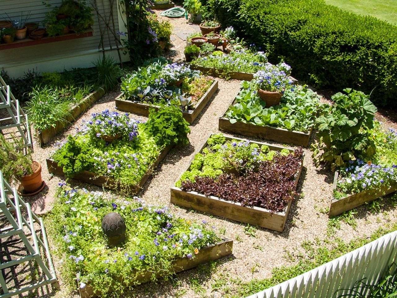 Красивый огород в частном доме и на даче: 20 фото идей
