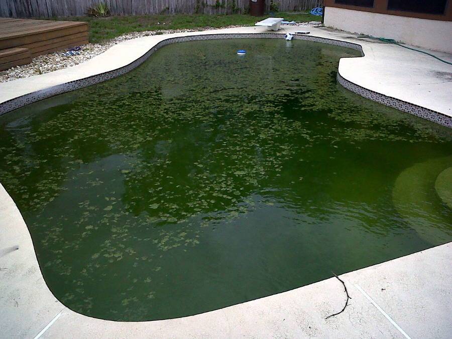 Как очистить воду в бассейне на даче от зелени или ржавчины