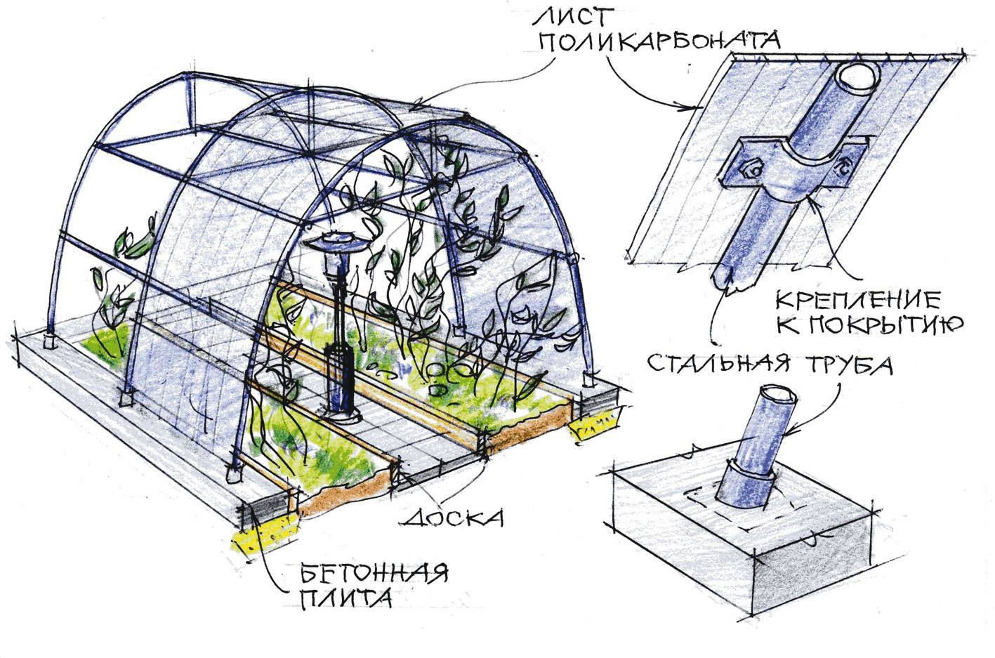 Постройка теплицы из поликарбоната своими руками: как сделать, чертежи, проекты, схема, этапы строительства (15 фото)