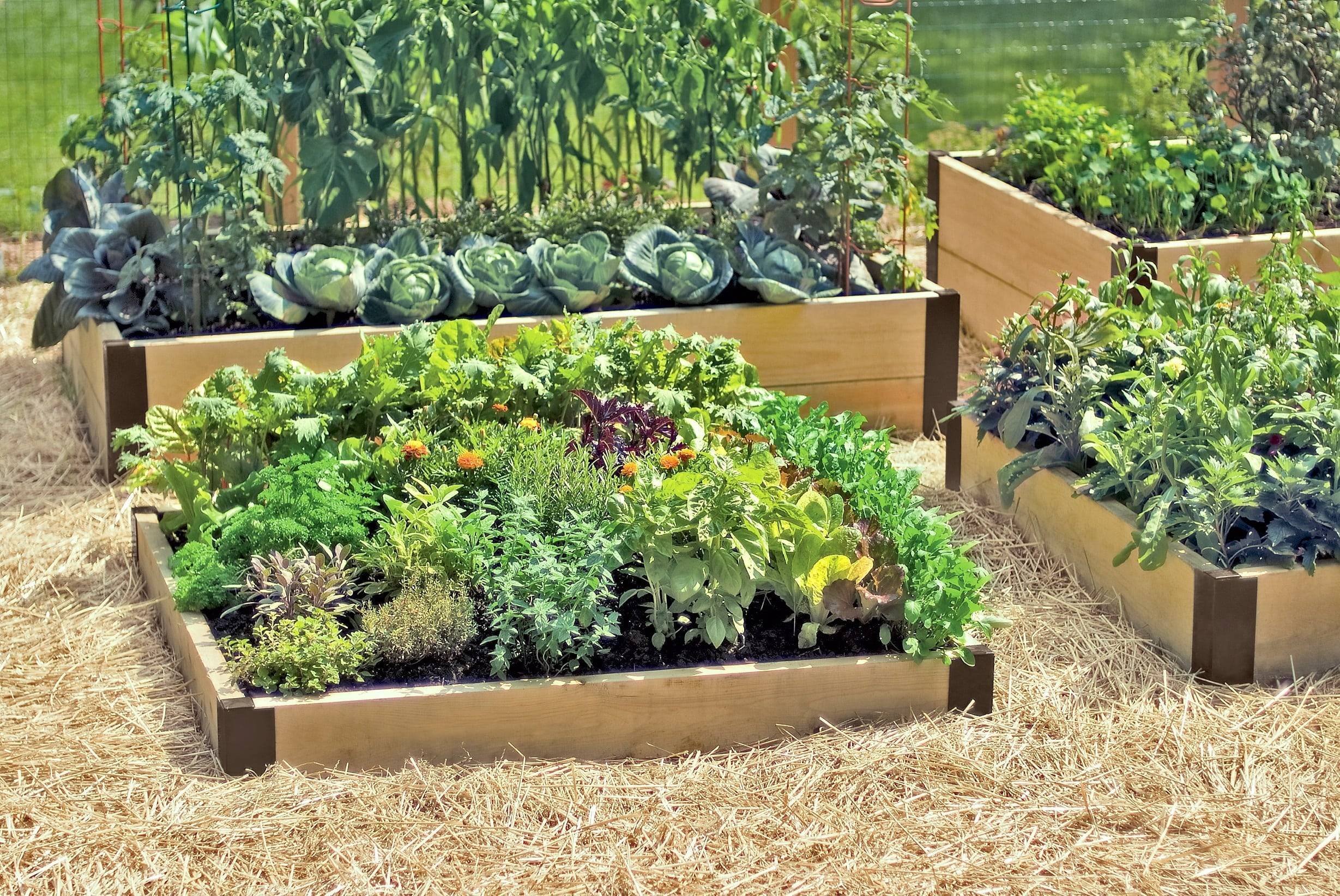 Как оформить огород на дачном участке красиво своими руками: 130 фото примеров и видео описание выполнения проектов