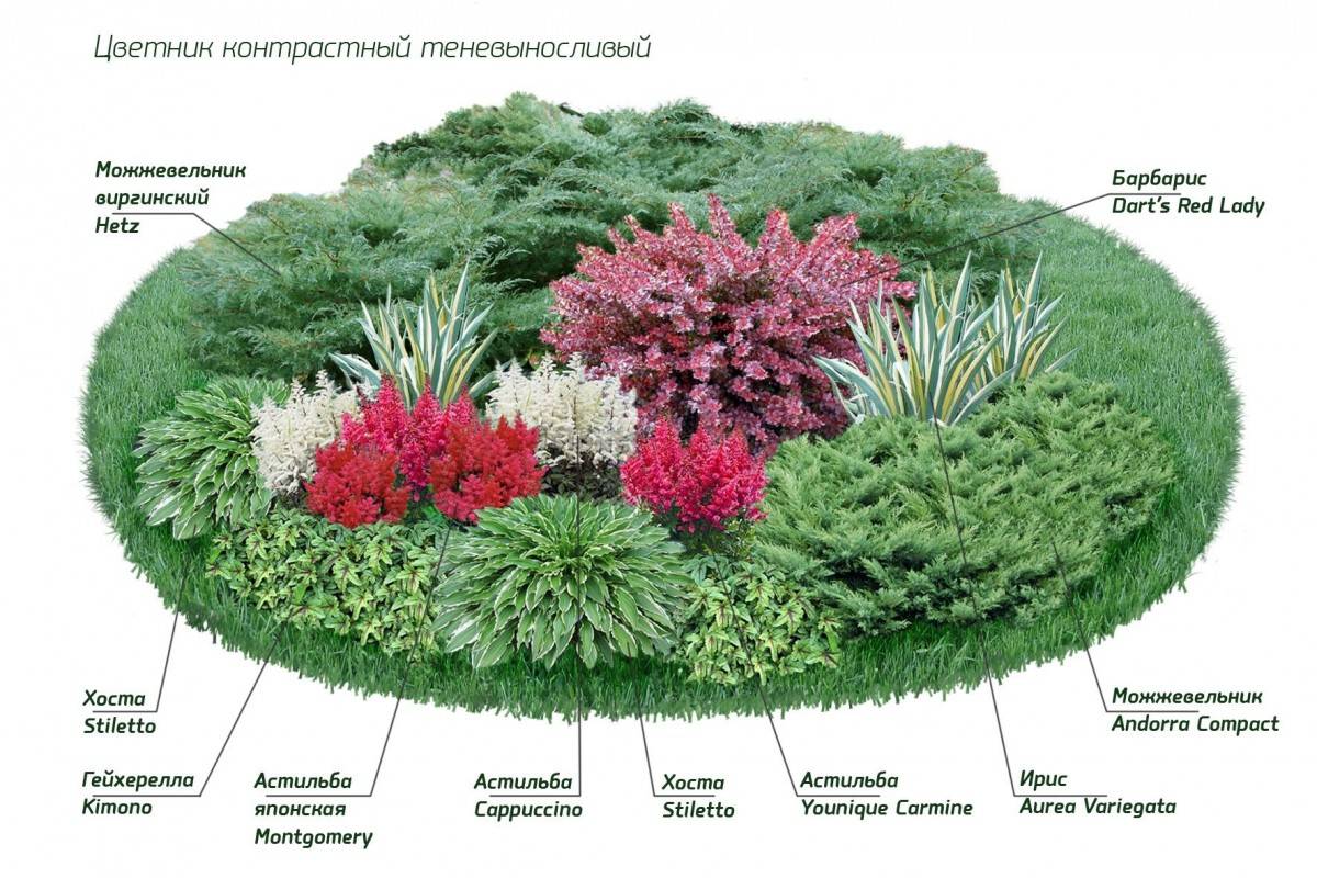 Растения для ландшафтного дизайна: как подобрать подходящие