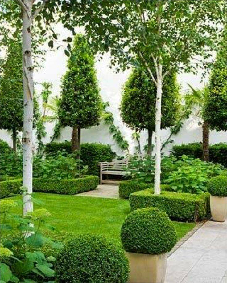 Декоративные деревья и кустарники на садовом участке: выбор растений, особенности и правила ухода