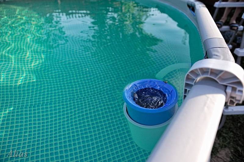 Средства для бассейна, чтобы не цвела вода | 5domov.ru - статьи о строительстве, ремонте, отделке домов и квартир