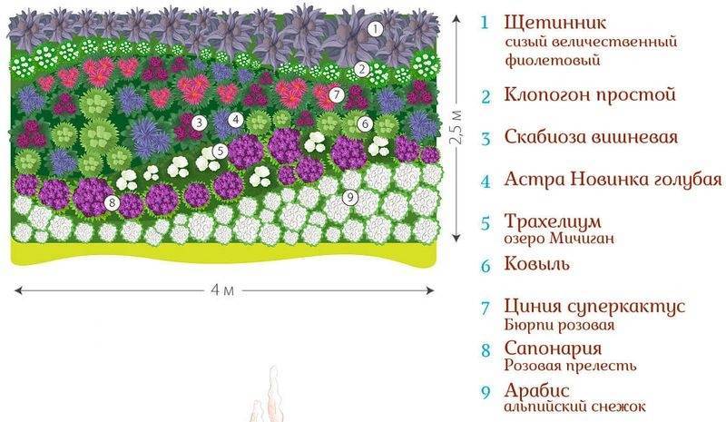 Цветы для клумбы цветущие все лето — обзор неприхотливых видов цветов на все лето (85 фото)